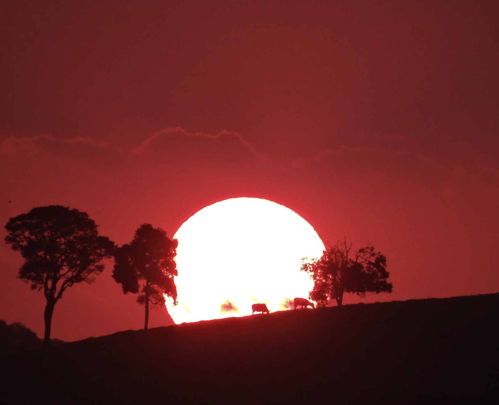 Pôr do sol na serra